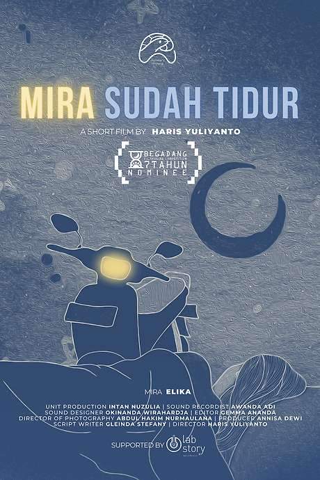    Mira, a nurse, seeks a substitute for her late husband’s snoring sound to get comfortable sleeping.  